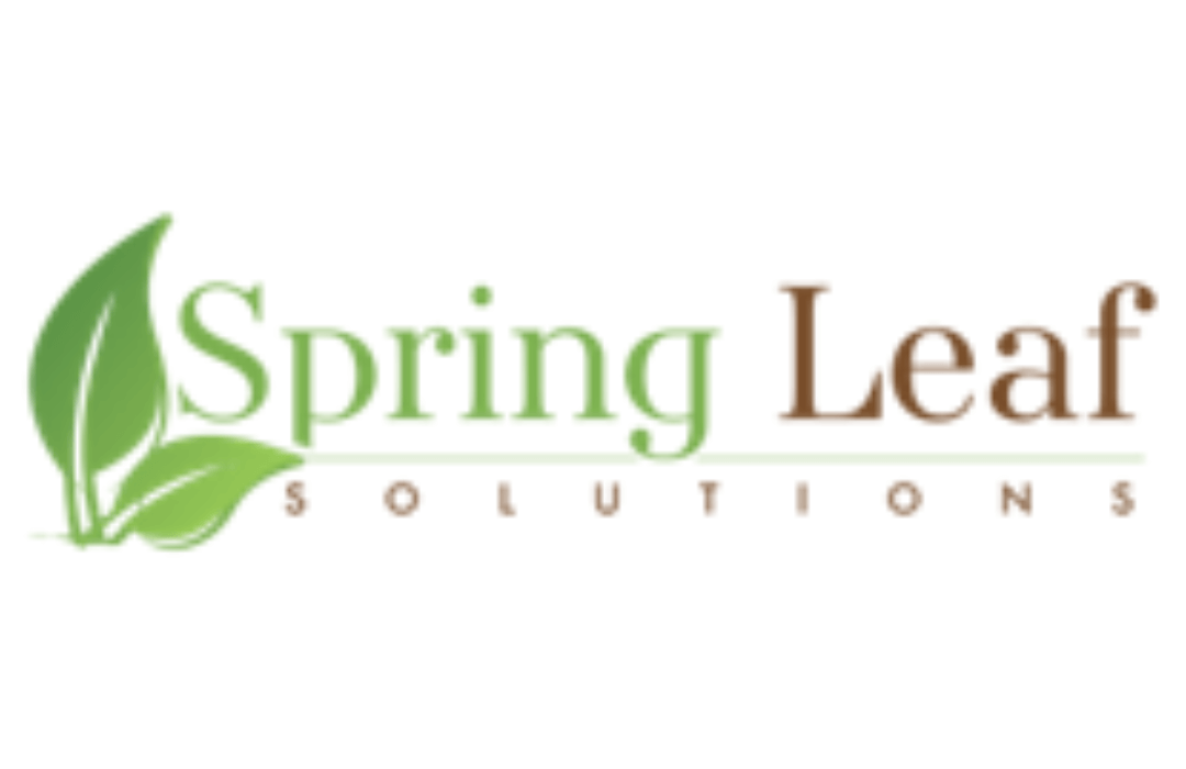 Spring Leaf Solution